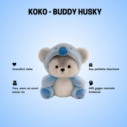 Buddy Husky