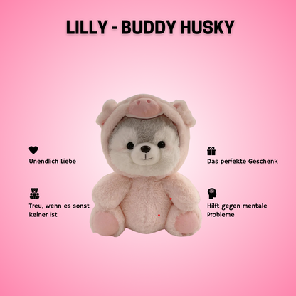 Buddy Husky