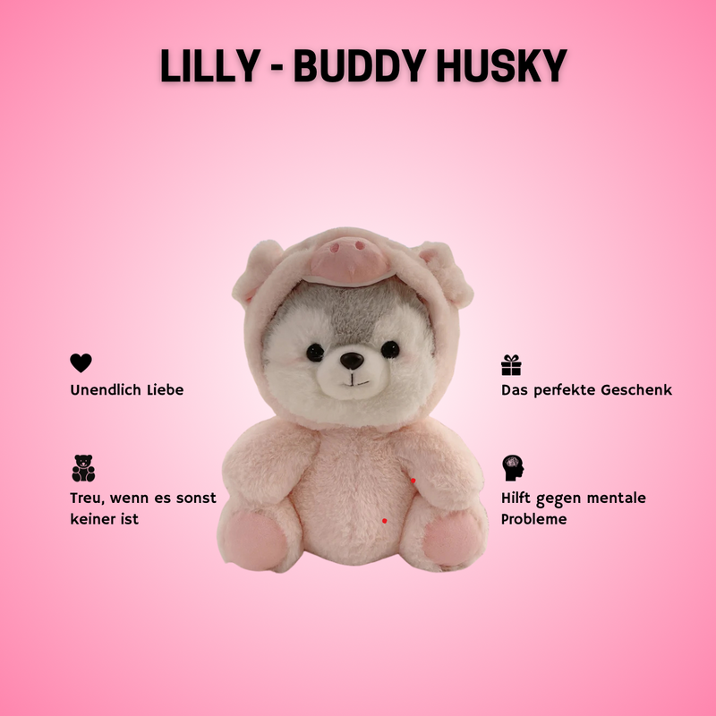 Buddy Husky