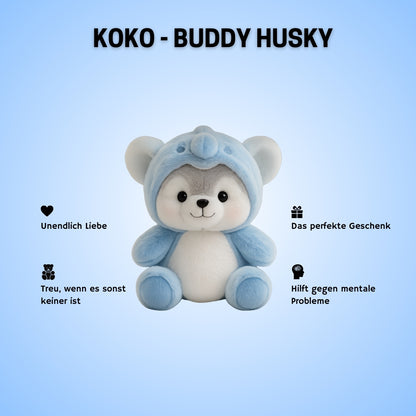 Buddy Husky