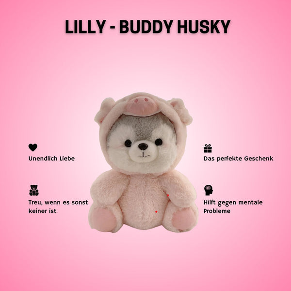 Buddy Husky